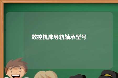 数控机床导轨轴承型号 